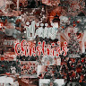 Meet your Posher, Sophia